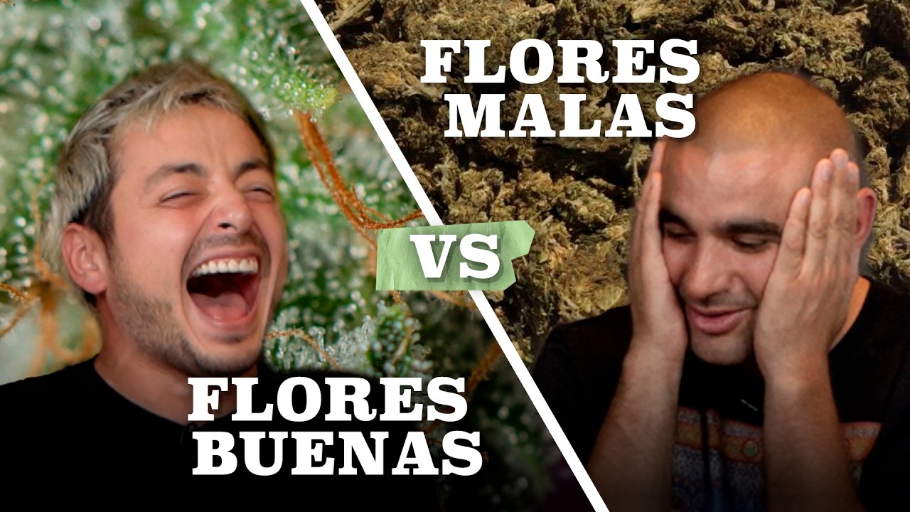 LAS MEJORES BOLSAS PARA GUARDAR TUS FLORES