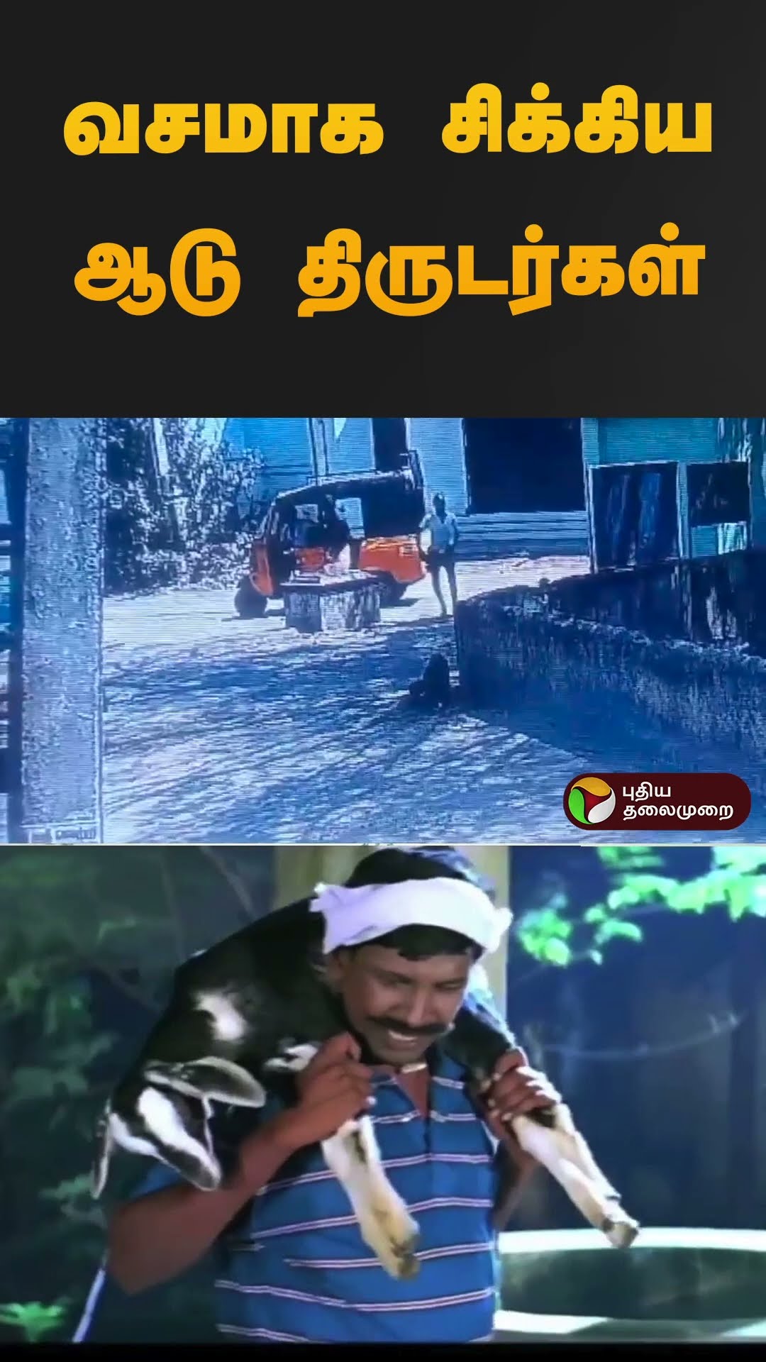 வசமாக சிக்கிய ஆடு திருடர்கள் | #thirunelveli | #cctv | #goat | #sheep | #shorts