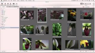 Perfect Effects 9: Opening the Product