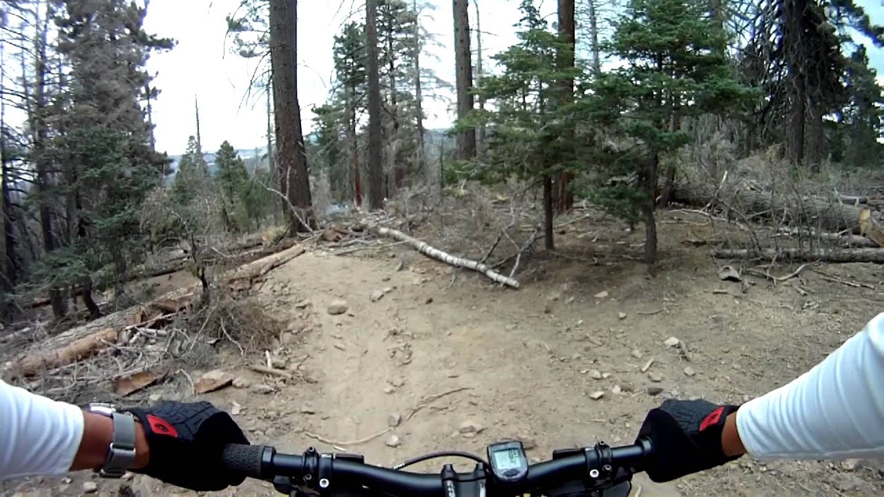 big bear mtb trails