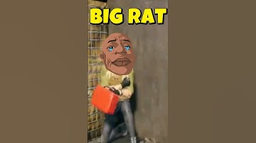 Found a RAT in Delta Force Mobile #deltaforcemobile #deltaforcegame #deltaforceclips