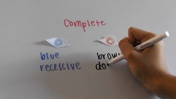 Inheritance Patterns in Genetics