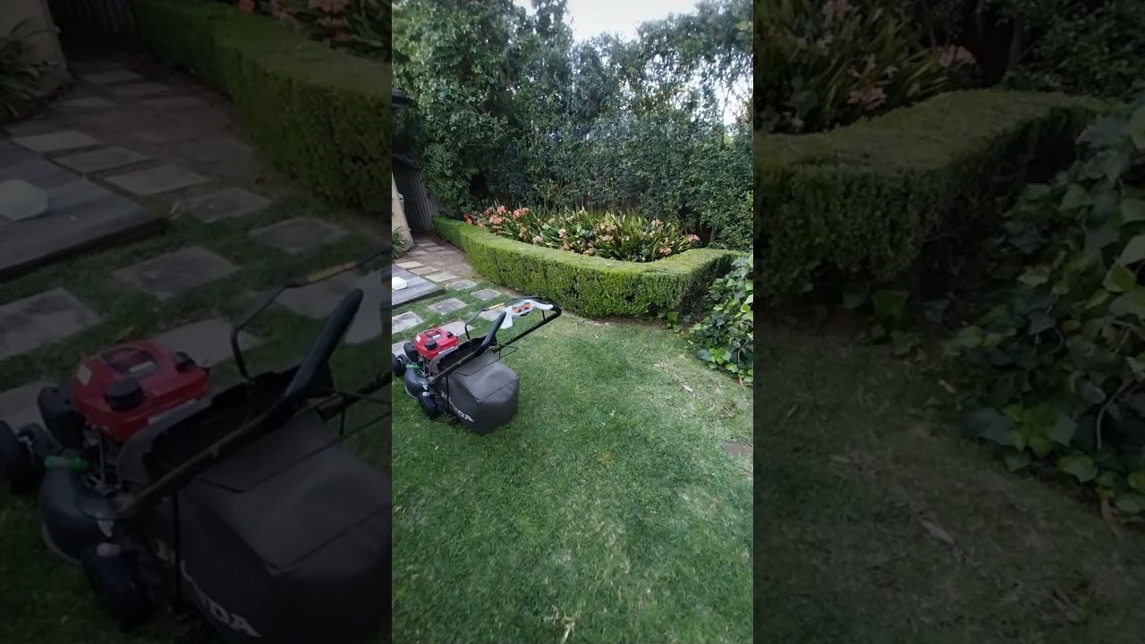 Spring clean service. Clean service. Cleaning service. Sydney clean service.