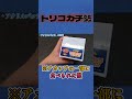 レオタイガーは義務教育【トリコグッズ紹介】