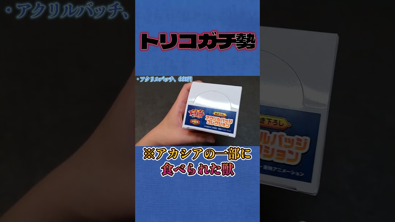 レオタイガーは義務教育【トリコグッズ紹介】