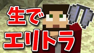 【生ぽこなかくら】全ロスの悲しみを乗り越えてエリトラ探しの生放送！【マインクラフト】