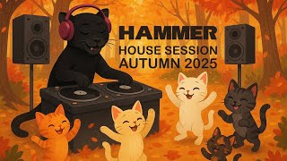 Hammer - House Session Autumn 2025