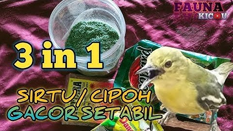 Racikan pakan SIRTU/CIPOH supaya GACOR setabil
