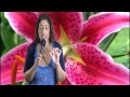 North Node in Capricorn or 10th House Astrology Series by Nadiya Shah