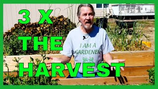 Succession Planting Tips (More Harvests)