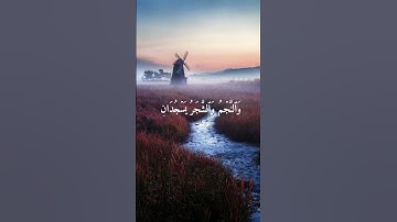 سورة الرحمن | القارئ حسام الدين عبادي ✨
