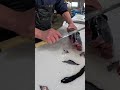 カツオ捌く