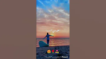 عيني عليكي بارده حلوه اوي النهارده حالات واتس مهرجانات حلقولو 
