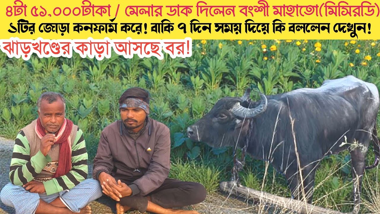 ৪টা ৫১,০০০টাকা / বংশী মাহাতো মেলার ডাক দিয়ে ৭দিন সময় দিলেন। সম্পূর্ণ সাক্ষাৎকার।।