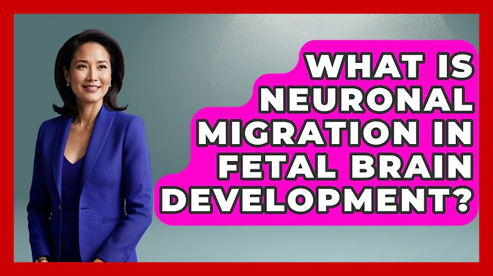 What Is Neuronal Migration In Fetal Brain Development? - Brain Development Hub