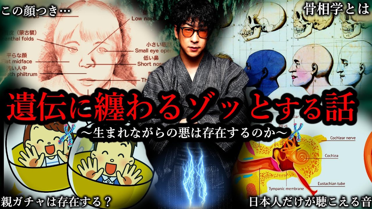 作業用】 遺伝に纏わるゾッとする話【たっくーTV/作業用】 - YouTube