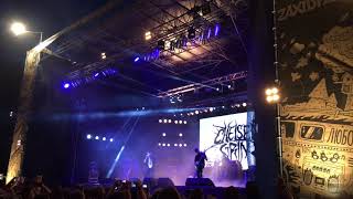 Chelsea Grin at zaxidfest 2017