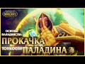 Гайд по прокачке ПАЛАДИНА с 1-60 уровень в World of Warcraft: Classic | Paladin Leveling Guide