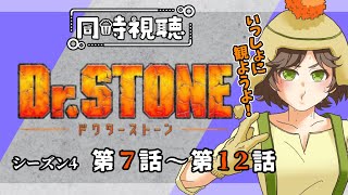 Dr.STONE 同時視聴