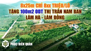 Đất Nền Đông Anh 3 - Thị Trấn Nam Ban, Lâm Hà, Lâm Đồng