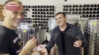 🍷 Як виготовляють крафтове вино Стейки Карпат. Секрети винороба із Закарпаття