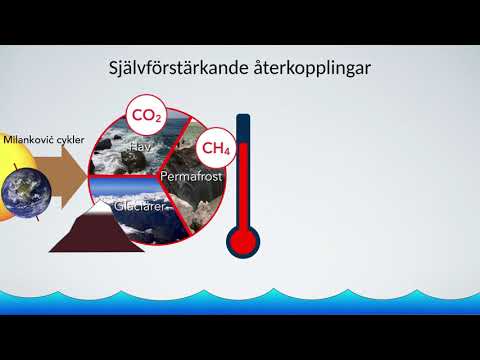 Video: Skillnaden Mellan Excentricitet Och Koncentration