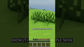 Mini Mod Showcase | AppleSkin - Minecraft Mod  #minecraft #minecraftmods#minecraftshorts