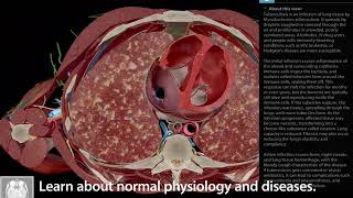 Visible Body | Physiology \& Pathology [PROMO]
