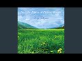 Into the Forest of Picture Books - The House of Glass