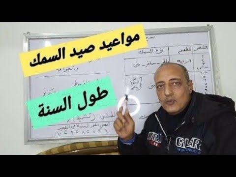 فيديو: أسماك الكارب: الصورة ، الوصف ، مكان السبات ، التكاثر