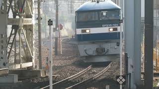 JR貨物 EF210-101号機(岡山)+コキ25両 貨物列車1059レ 2025.02.01