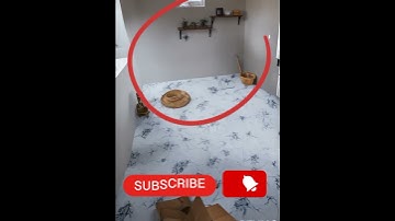 The New Ai Animation Tools😱 Short Video😱 Amazing🤩 Technology❤️ #shorts #ai #animation #tools #new😱🔥👌