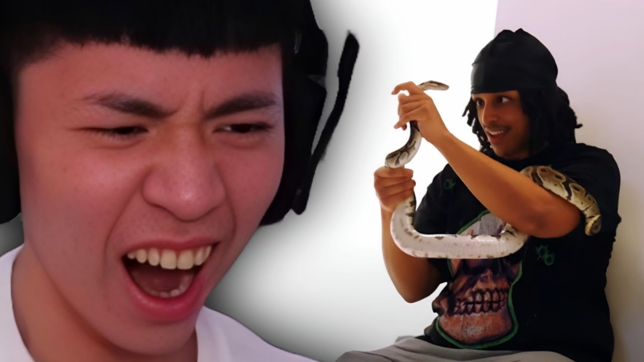 Rayasianboy reacts to AMP LAST MAN STANDING.. 😲 - YouTube