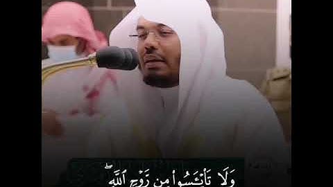 {وَلَا تَيْأَسُوا مِن رَّوْحِ اللَّهِ} | تلاوة خاشعة