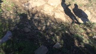 IMG 3391 2