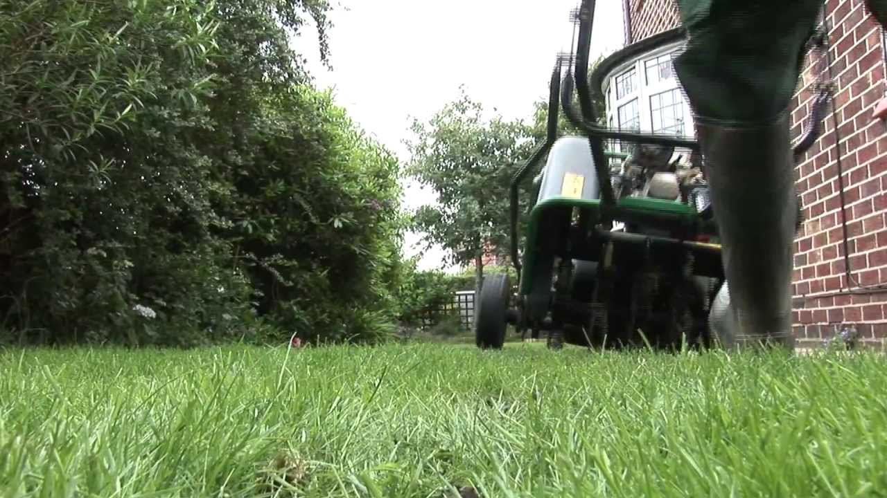 Green Thumb Lawn Treatment Service Youtube