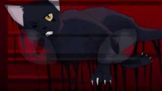 Dark Forest MEP (Breezepelt)