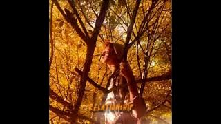 Logan Dichard - Autumn Leaves ( Song) 