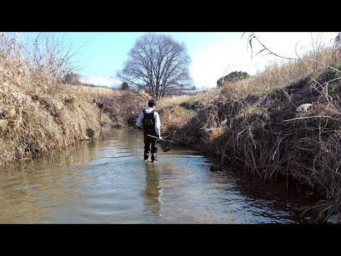 Visiting the downstream of the river after dredging 2 - YouTube