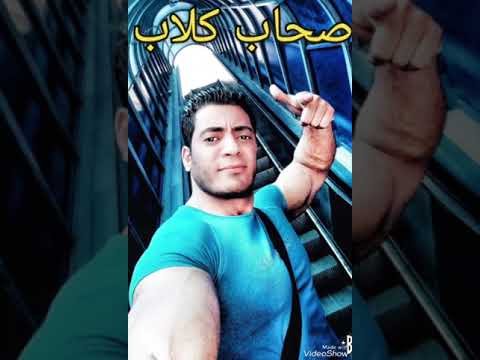 اغنيه صحاب كلاب