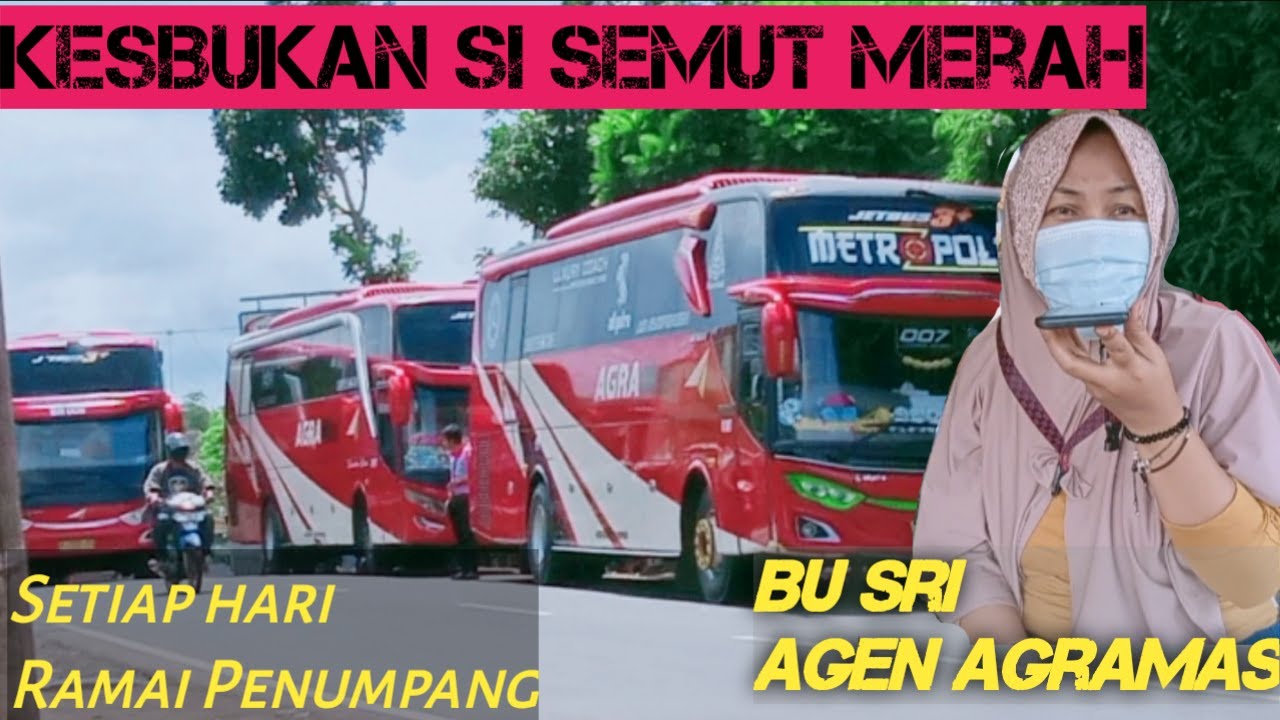 BERKUNJUNG KE AGEN AGRA MAS SLOGOHIMO | PULUHAN PENUMPANG DIBERANGKATKAN DARI SINI SETIAP HARI