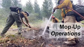 West Zone Mop Up Operations