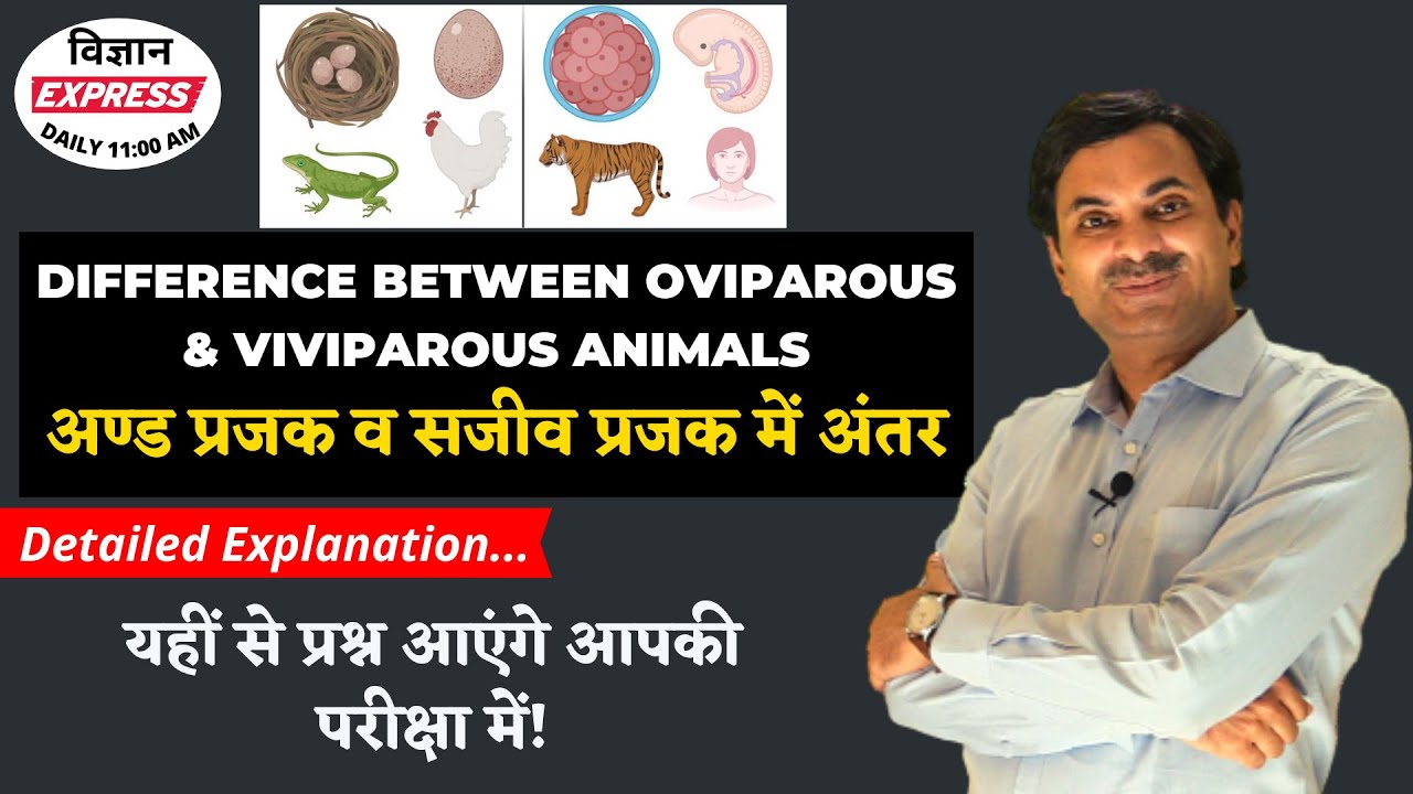 Difference between Oviparous & Viviparous Animals - Vigyan Express #150 ...