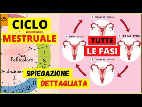 Video: Cosa succede nel ciclo estrale?