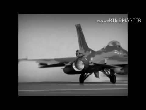 ［MAD］陸上航空海上自衛隊×ヒバナ