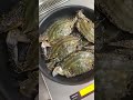 CRAB FOR YOU #foryou #viralshorts #shorts #cravings #satisfying #cooking #seafood