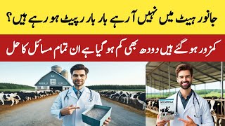 Essential Minerals for Cows & Buffaloes: Boost Milk Production & Health!