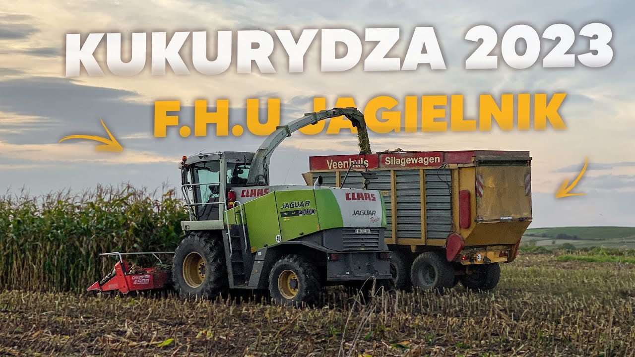 Kukurydza Na Kiszonkę 2023 I Usługi Rolnicze Jagielnik 🇵🇱 I Claas Jaguar 900 I