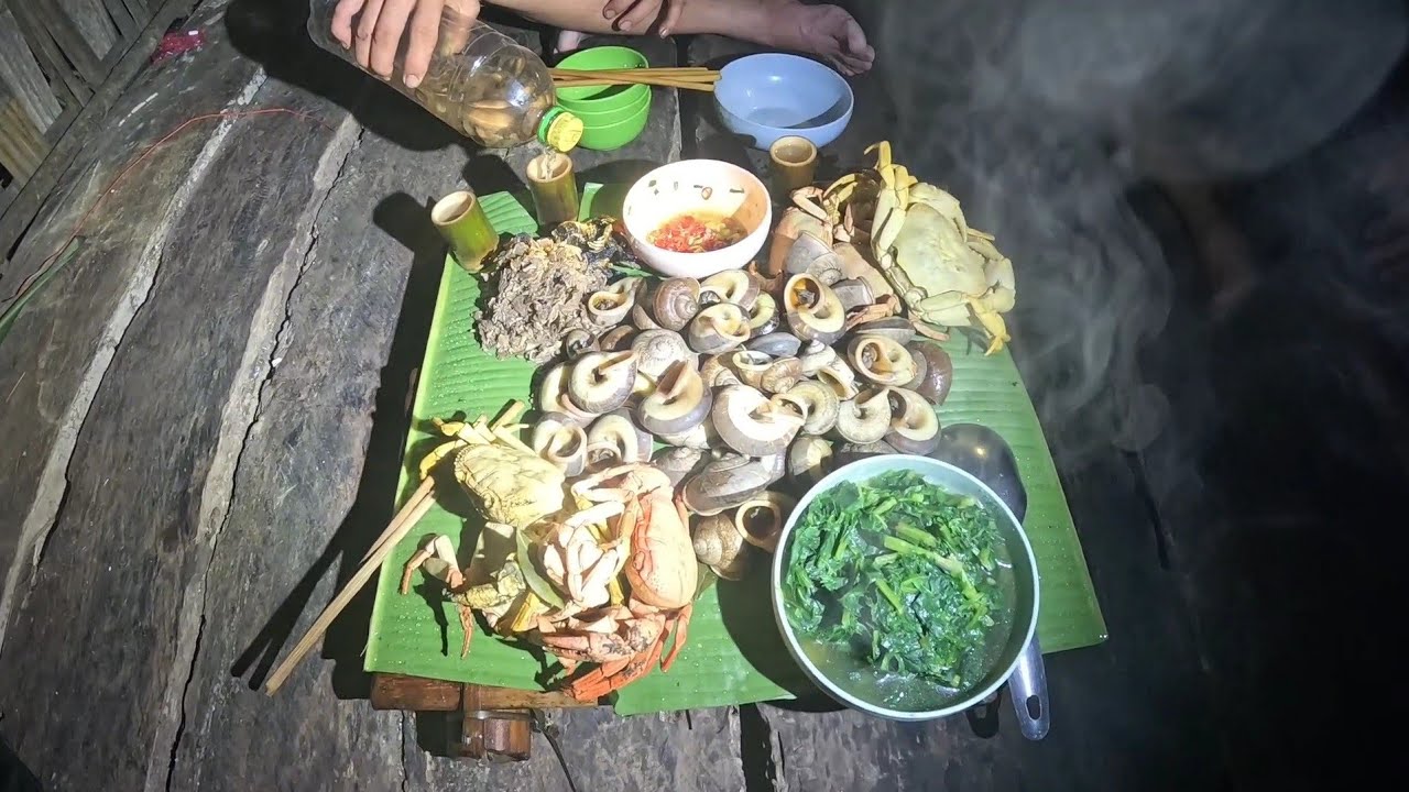 #828. Thử thách 10 ngày sống trong rừng mưa ẩm ướt, phiêu lưu trong rừng