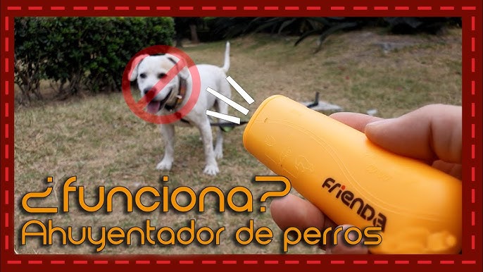 Guía para comprar el mejor ahuyentador para perros - Casacochecurro